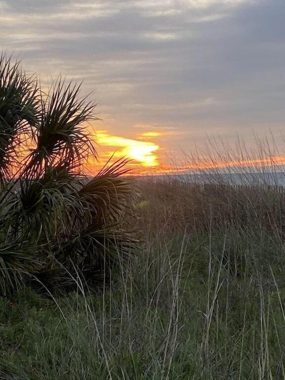 2501 S Ocean Blvd, 1115 - Ocean View Sleeps 8 Vila Myrtle Beach Exterior foto